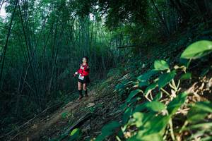 BIB: 
                            <button type="button" onclick="openModal(28124539)" class="btn btn-primary btn-sm float-right btn-popup" data-toggle="modal" data-target=".modal-high-quality">
                        <i class="fas fa-shopping-cart"></i> Add to Cart
                    </button>
                                            <button type="button" onclick="isThisMe(28124539, true)" class="btn btn-success btn-sm float-right btn-popup btn-isme hidden" data-toggle="tooltip" data-placement="bottom" title="นี่คือรูปของคุณใช่ไหม คลิกที่นี่เพื่อเอาเข้าอัลบั้ม">
                        <i class="fas fa-plus"></i> Add to album
                    </button>
                    <button type="button" onclick="isThisMe(28124539, false)" class="btn btn-warning btn-sm float-right btn-popup btn-isnotme hidden">
                        <i class="fas fa-ban"></i> Remove from album
                    </button>